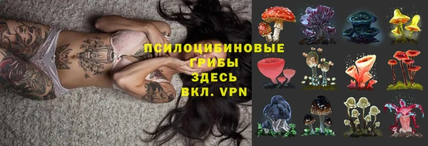 мяу мяу мука Сафоново