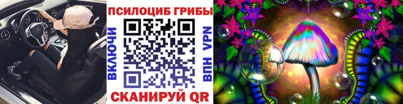 наркошоп  kraken как войти  Галлюциногенные грибы Cubensis  Сальск 