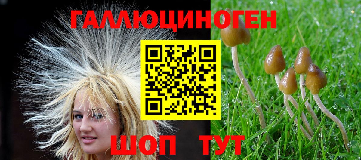 Сальск  Псилоцибиновые грибы Cubensis  Псилоцибиновые грибы Psilocybe  Вход с VPN 