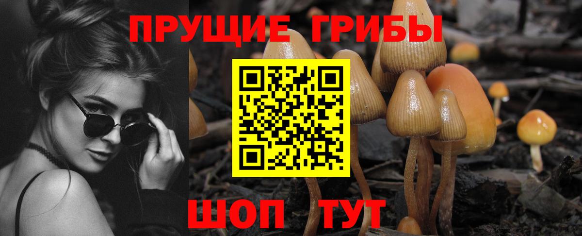 Галлюциногенные грибы GOLDEN TEACHER Сальск