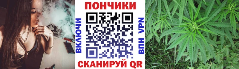 МАРИХУАНА сатива  Сальск 